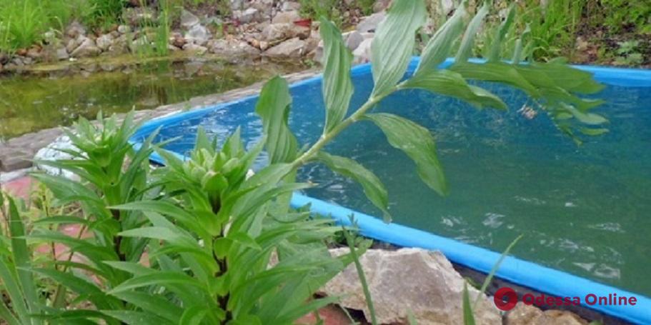 Трагедия в Килийском районе: утонувший в бассейне мальчик играл без присмотра взрослых