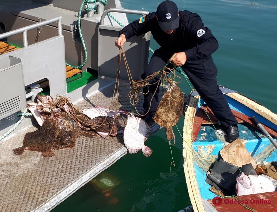 В прибрежной зоне Одессы браконьер дважды попался с богатым уловом