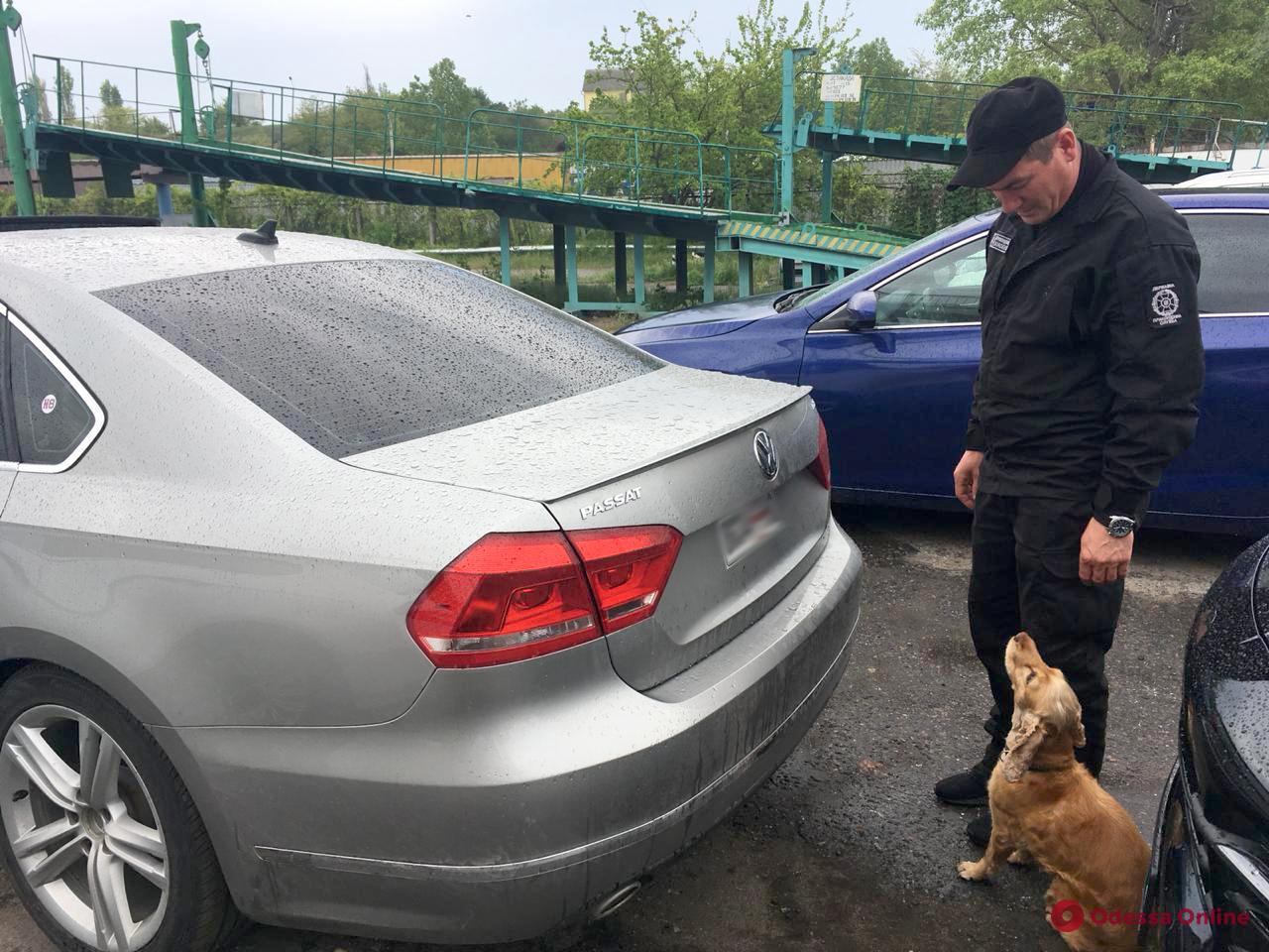 В Одесской области служебный пес обнаружил контрабанду