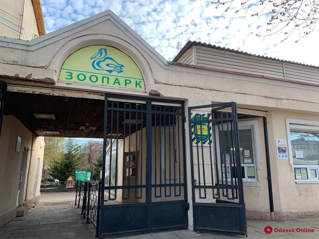 В Одесском зоопарке пройдет «День растений»