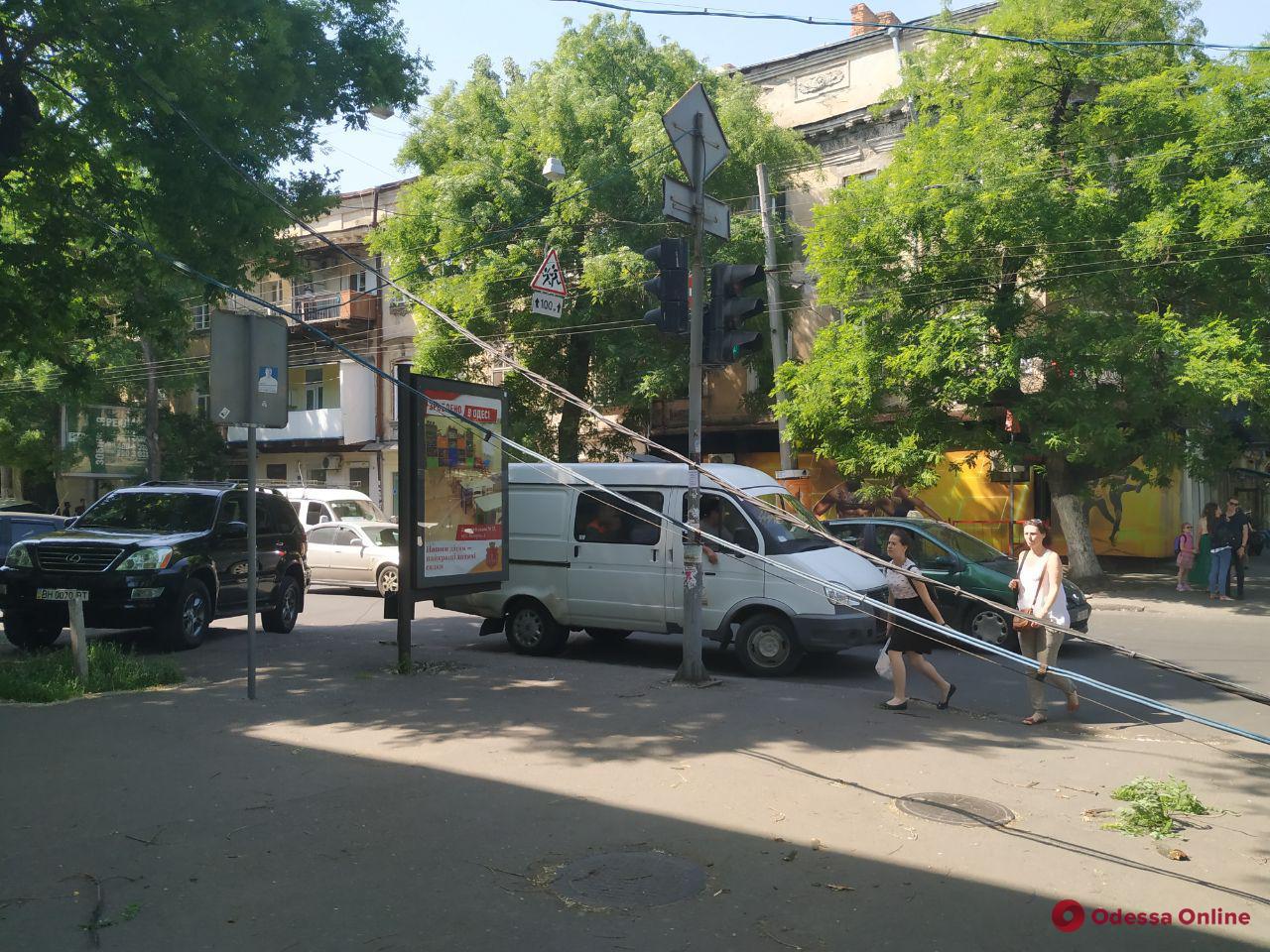 На Александровском проспекте упавшая ветка каштана оборвала провода