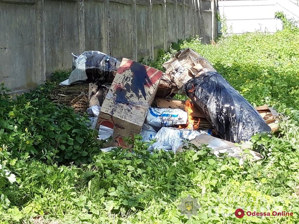 На юге Одесской области сожгли гору наркотиков