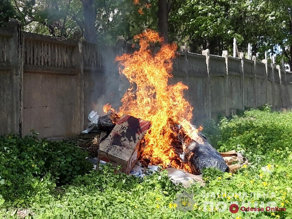 На юге Одесской области сожгли гору наркотиков