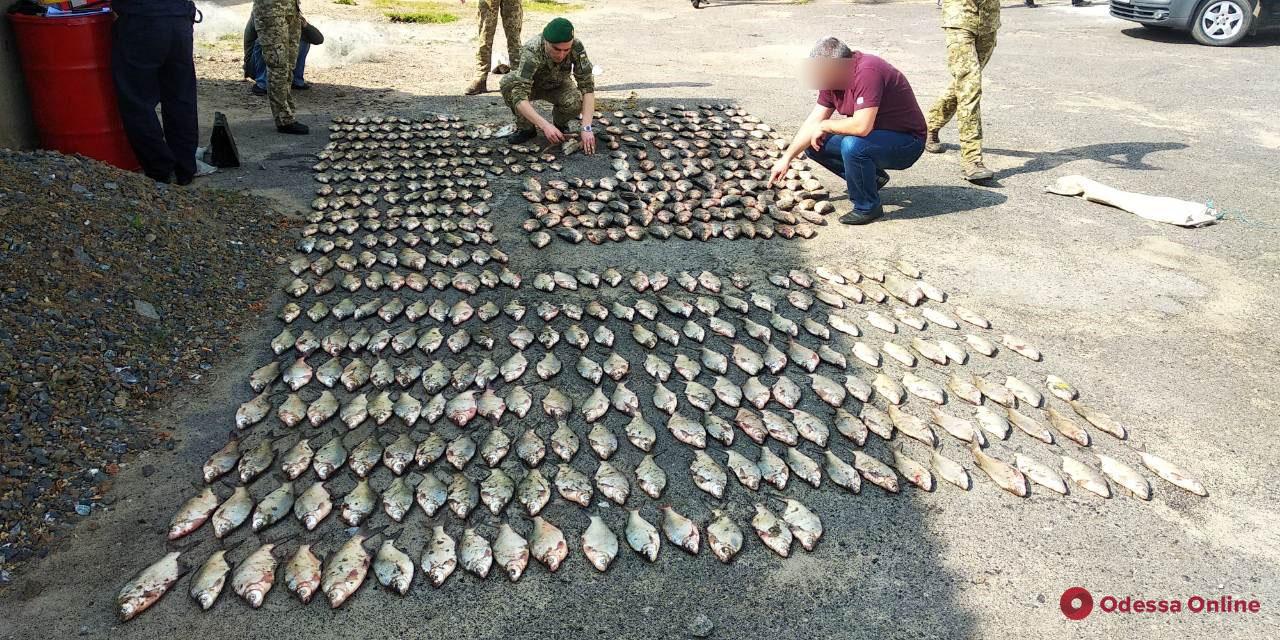 В Одесской области поймали браконьеров с уловом на 65 тысяч