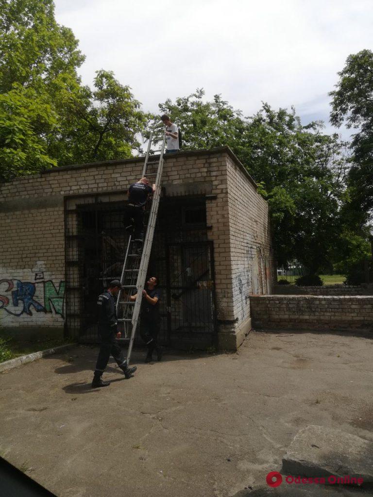 В Одесской области спасатели снимали девочку с крыши заброшенного здания