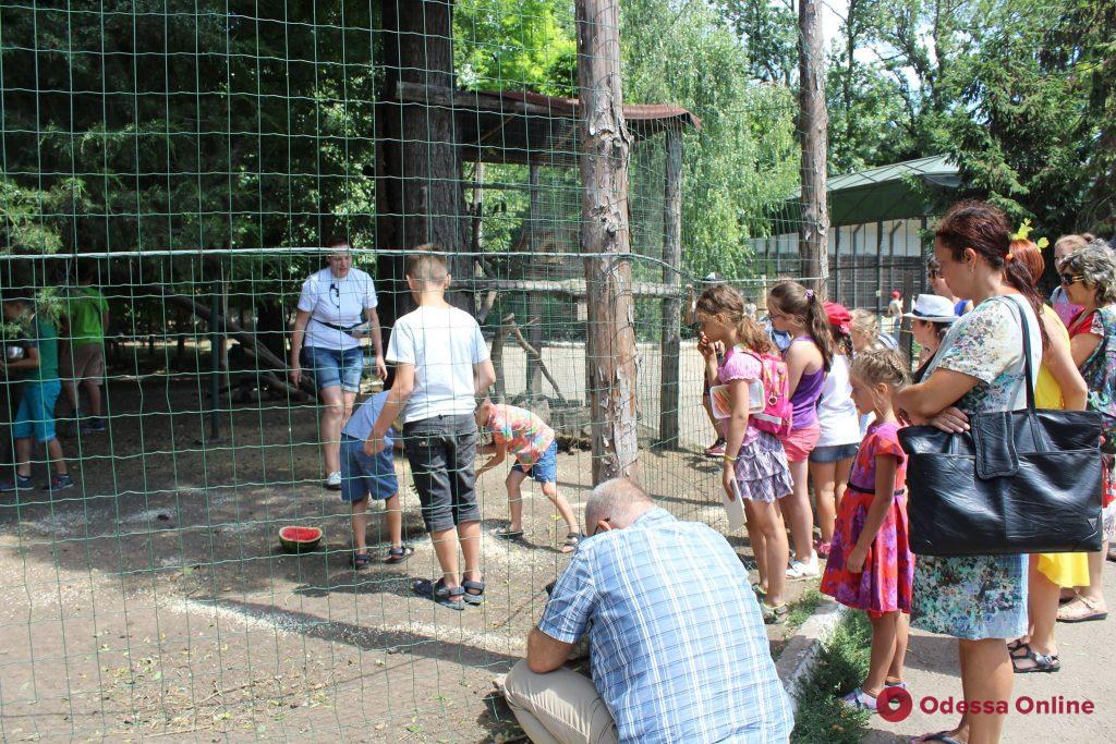 В Одесском зоопарке состоялся веселый праздник «День павлина»