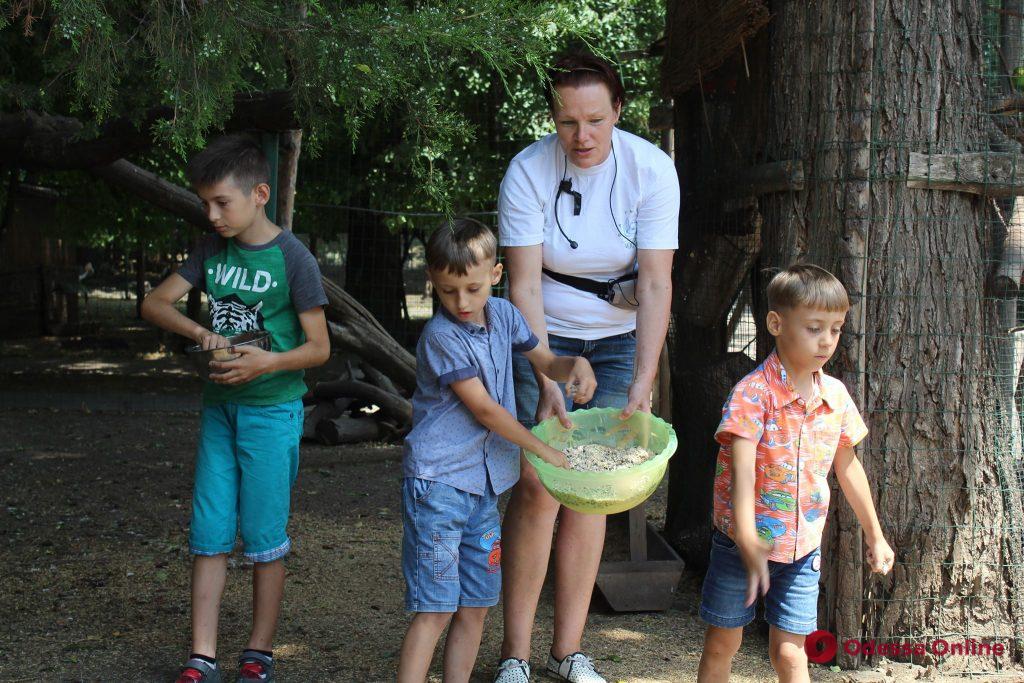 В Одесском зоопарке состоялся веселый праздник «День павлина»