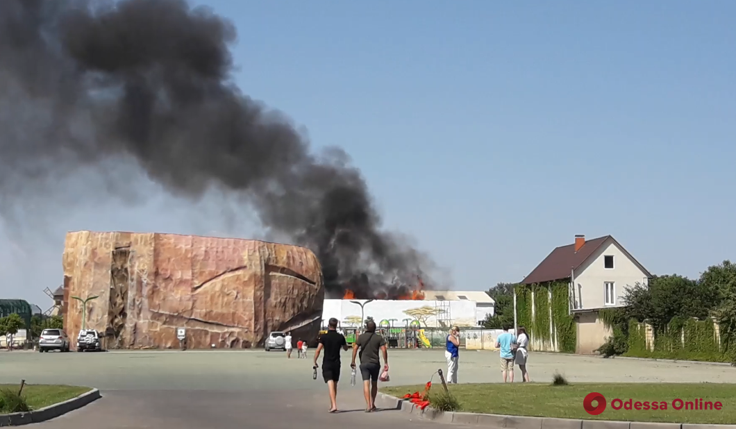 На территории одесского биопарка произошел пожар (видео)