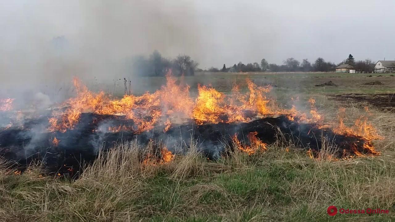 Под Одессой на большой площади горела сухая трава