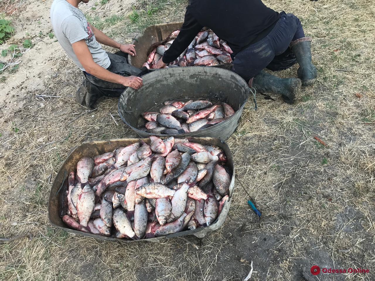 На Днестровском лимане пограничники поймали двух браконьеров