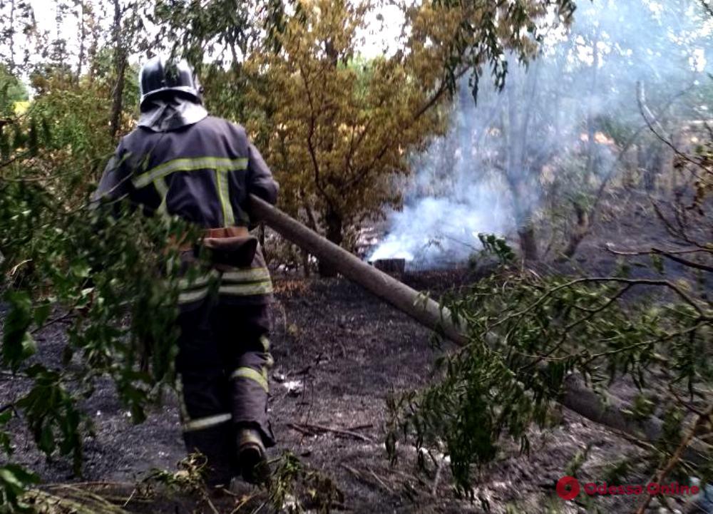 Под Одессой тушили масштабный пожар