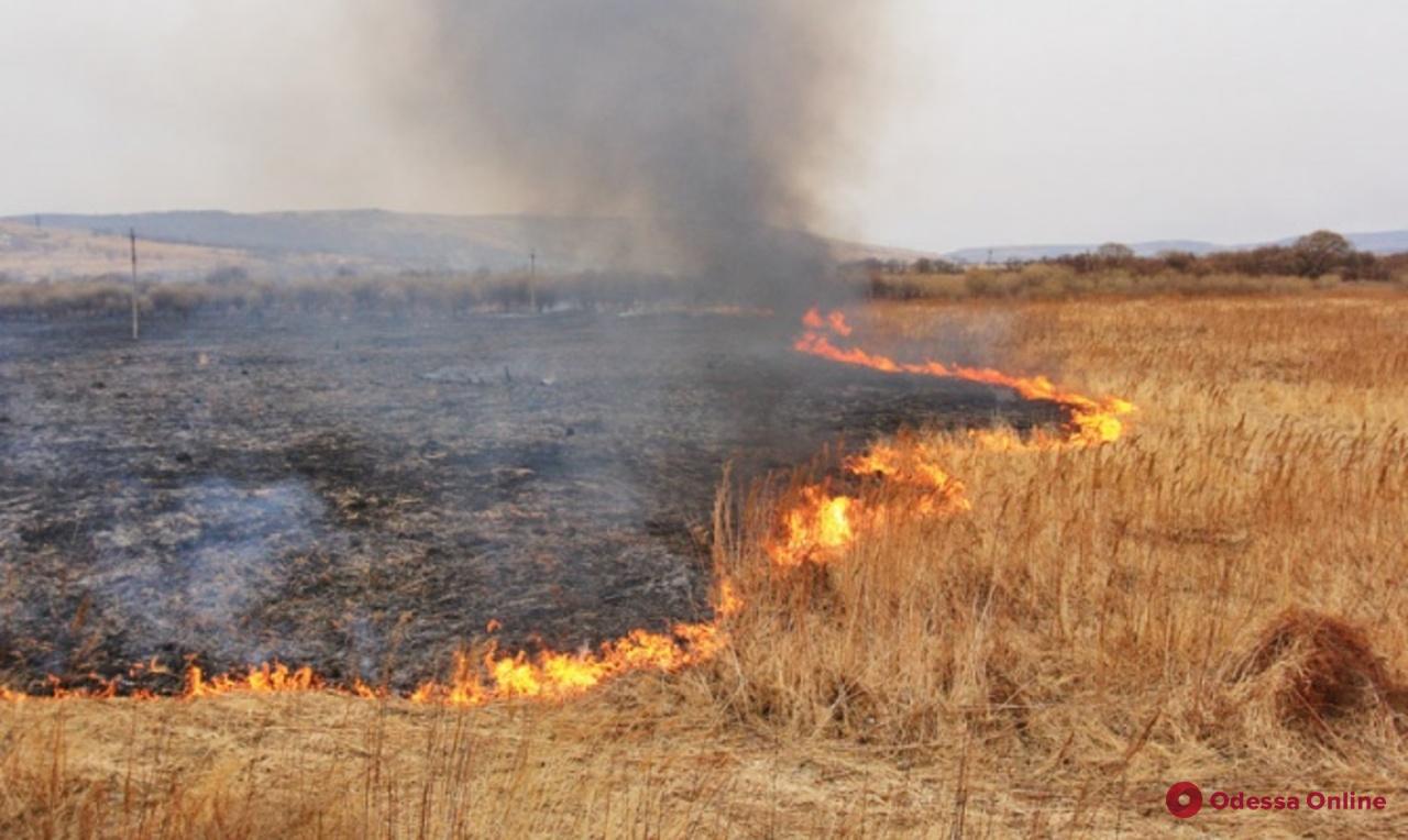 В Одесской области сгорели 12 гектаров сухой травы