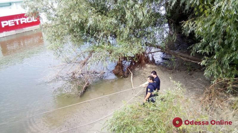 Одесская область: в реке Дунай нашли труп