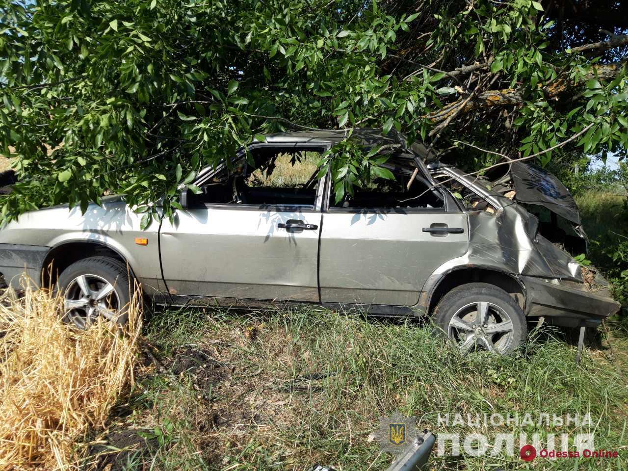 В Одесской области легковушка слетела в кювет – 19-летний пассажир погиб