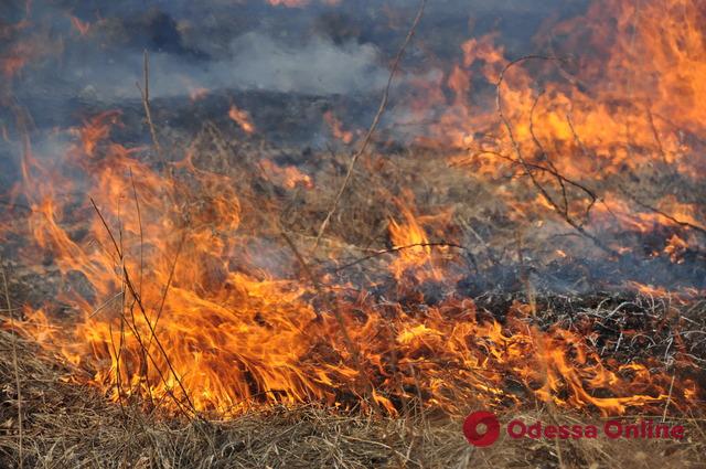 За сутки в Одесской области сгорели восемь гектаров сухой травы