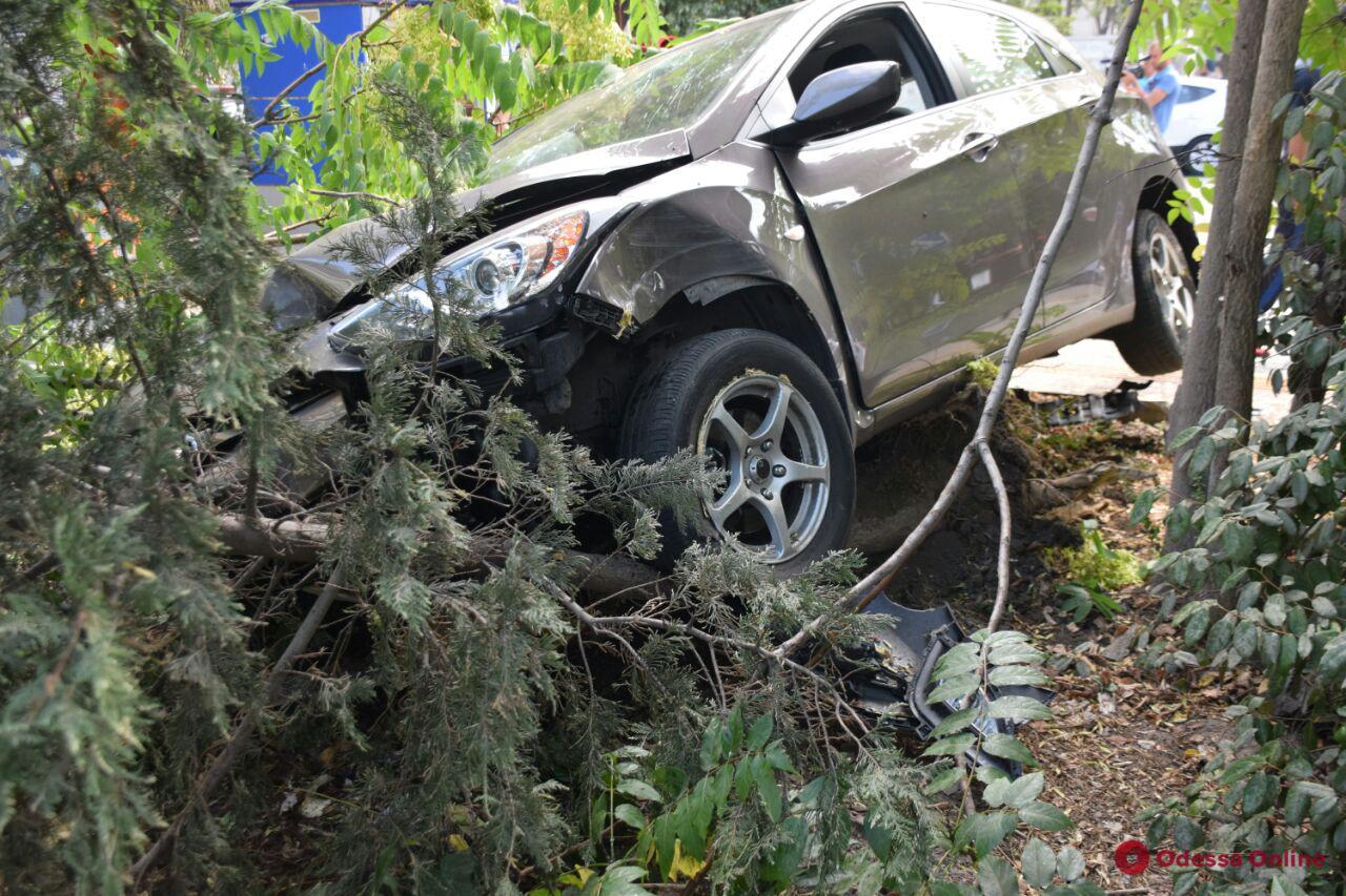 На Черемушках автомобиль врезался в дерево (фото)