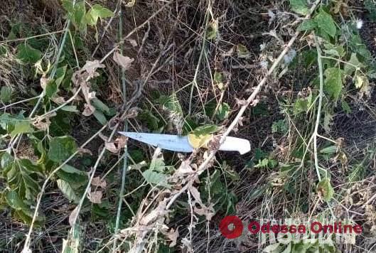 Житель Одесской области набросился с ножом на родственников жены