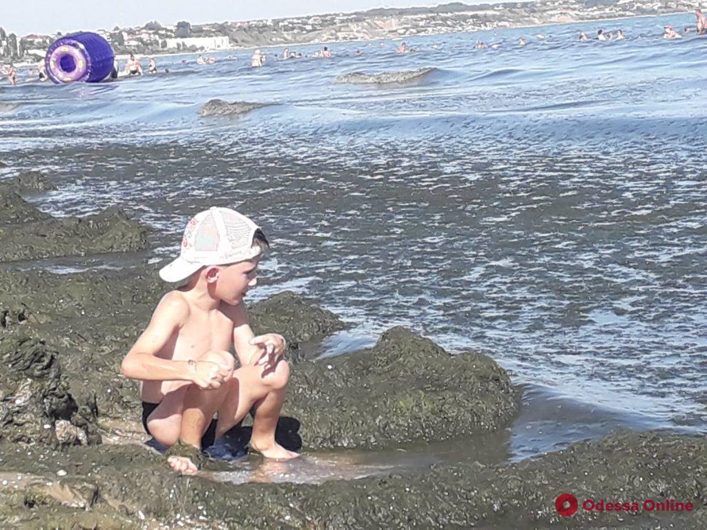 На пляжах в Лузановке почернела морская вода (фото, видео)