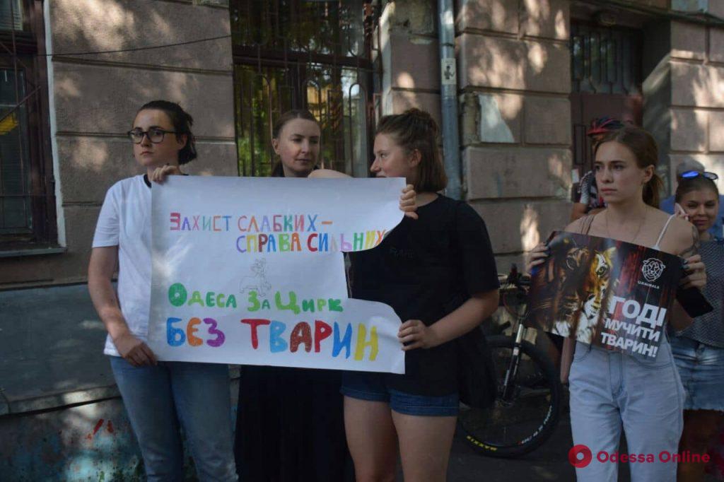 «Цирк без животных»: одесские зоозащитники провели митинг (фото)