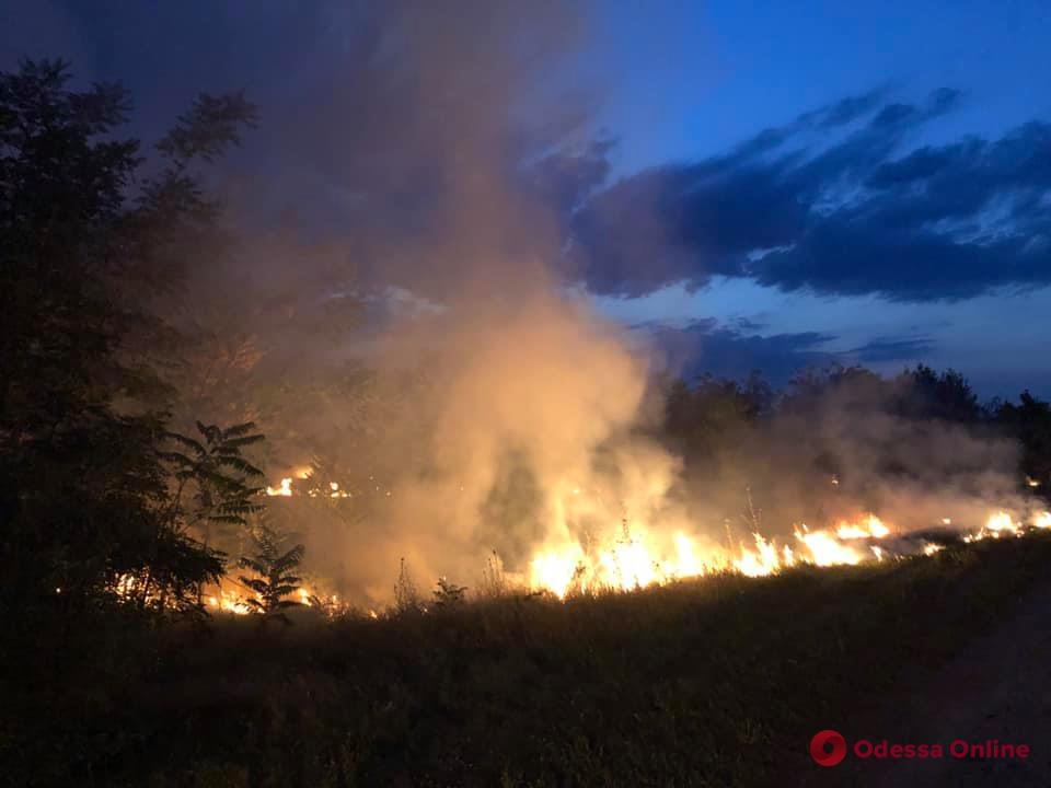 В Одесской области сгорели более трех гектаров сухой травы (видео)