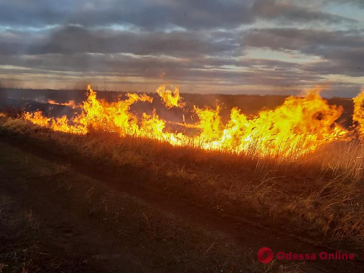 За сутки в Одесской области сгорели более четырех гектаров сухой травы