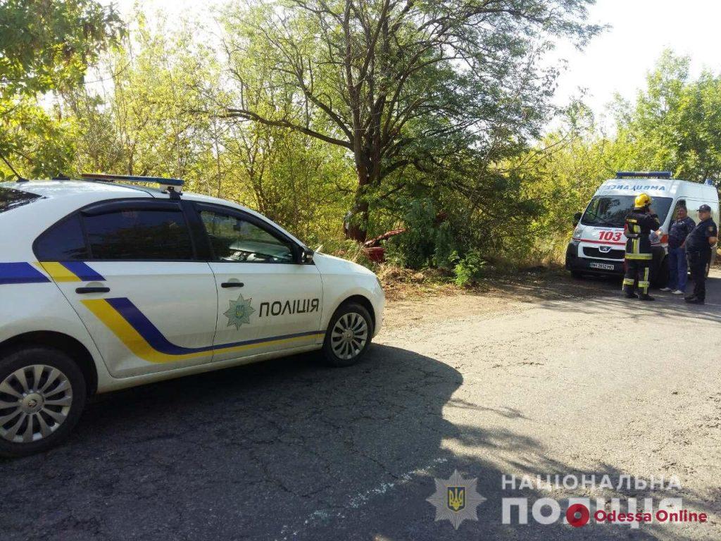 В Одесской области ВАЗ съехал в кювет и врезался в дерево – водитель погиб