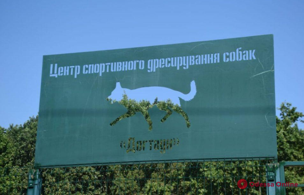 Выгул и дрессировка собак: «Догтаун» в Одессе готовят к открытию