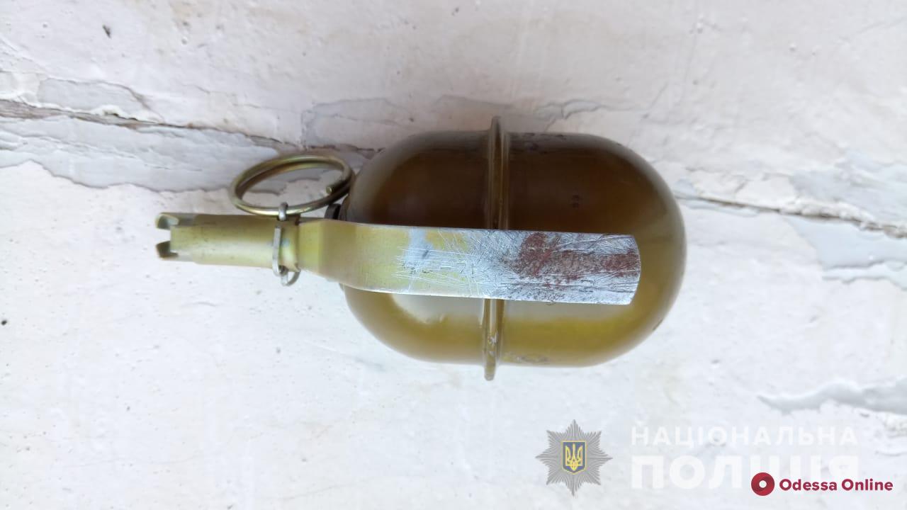 В Одесской области полицейские нашли гранату у задиры-матерщинника