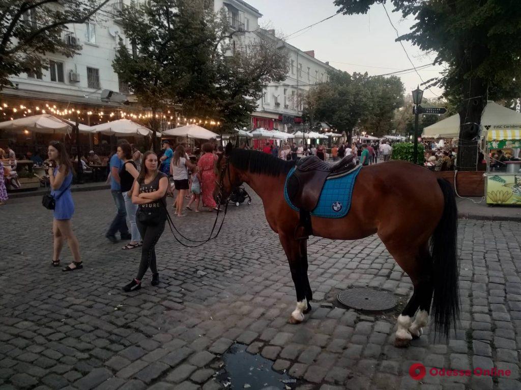 На Дерибасовской продолжают эксплуатировать лошадей