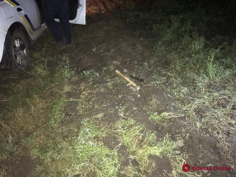 В Одесской области пьяный неадекват угрожал полицейским топором и ножом