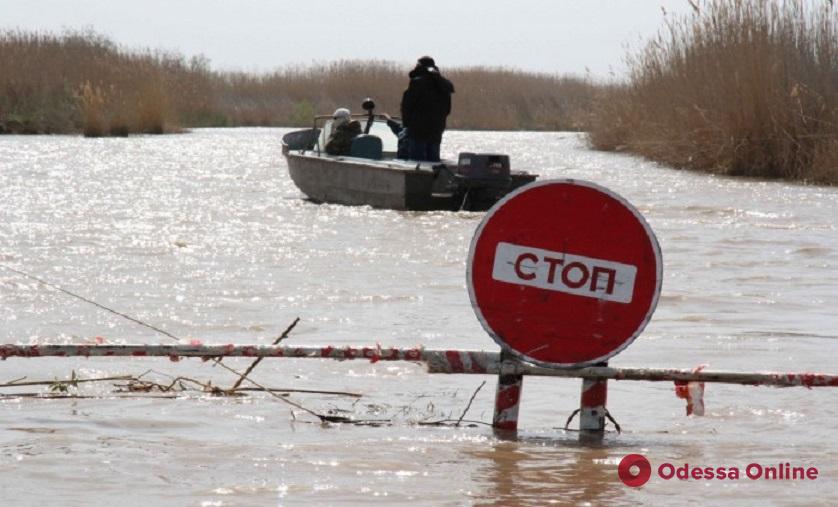 В Одесской области запретили ловить кефаль