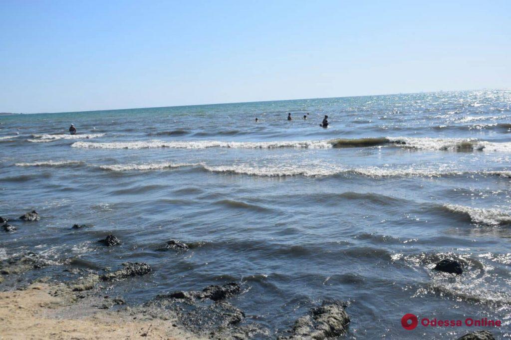 Побережье из водорослей, волны и сотни пляжников — бабье лето в Лузановке (фоторепортаж)