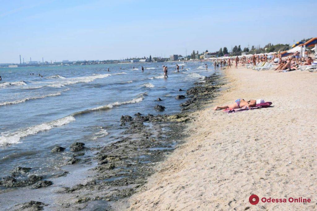 Побережье из водорослей, волны и сотни пляжников — бабье лето в Лузановке (фоторепортаж)