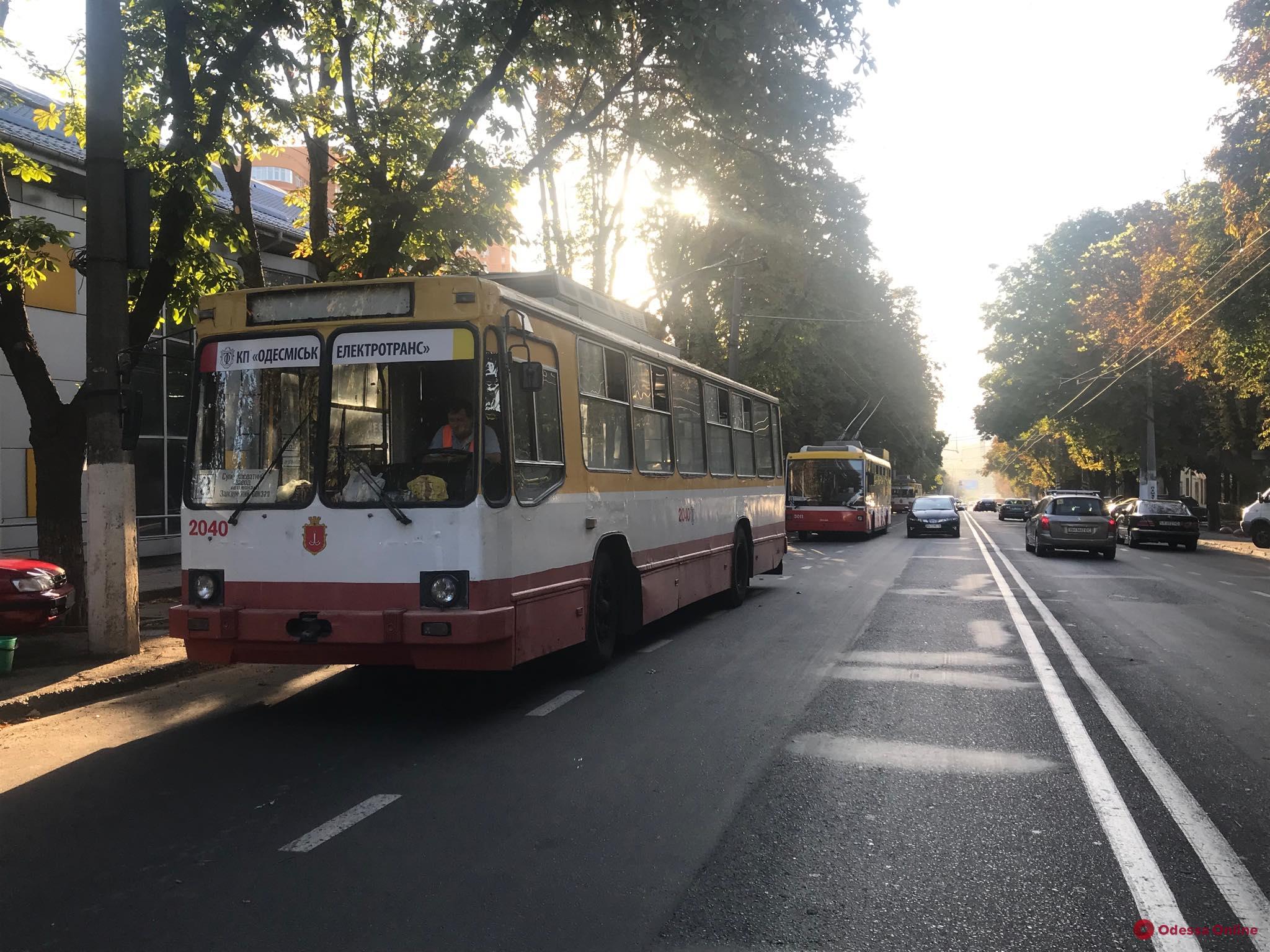 На Разумовской упавшая ветка парализовала движение троллейбусов