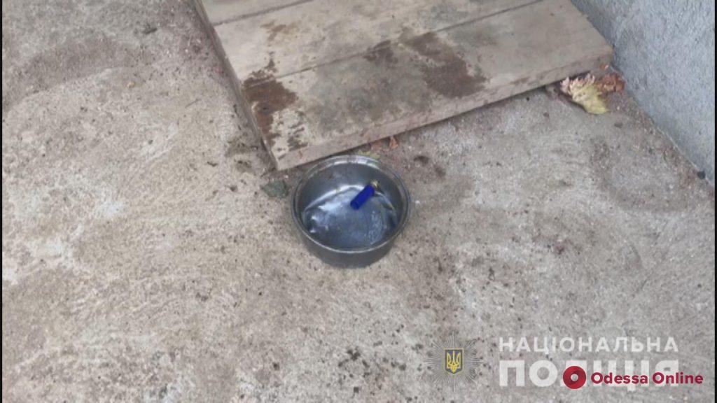 В Одесской области 12-летний мальчик случайно застрелил друга (обновлено, видео)