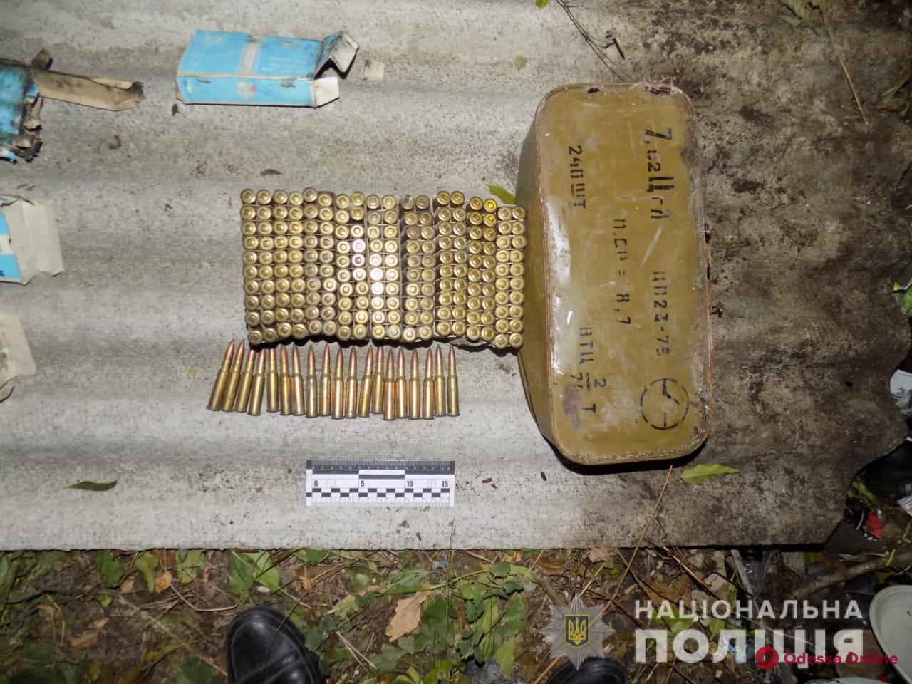 Лесник нашел почти полтысячи патронов возле стихийной свалки в Одесской области