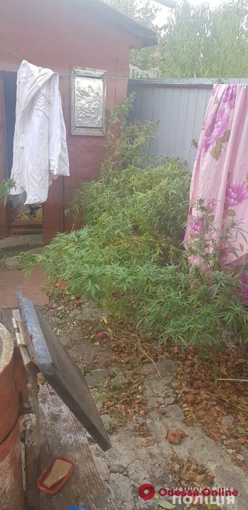 В Одесской области наркоагрария «заложили» соседи