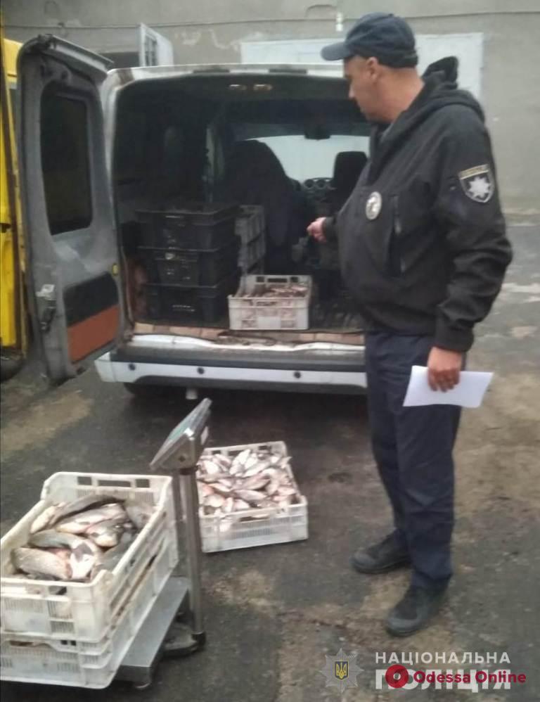 У жителя Одесской области в автомобиле нашли 200 килограммов «левой» рыбы