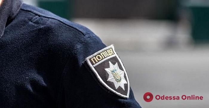 Жительница Одесской области отделалась условным сроком за избиение полицейских
