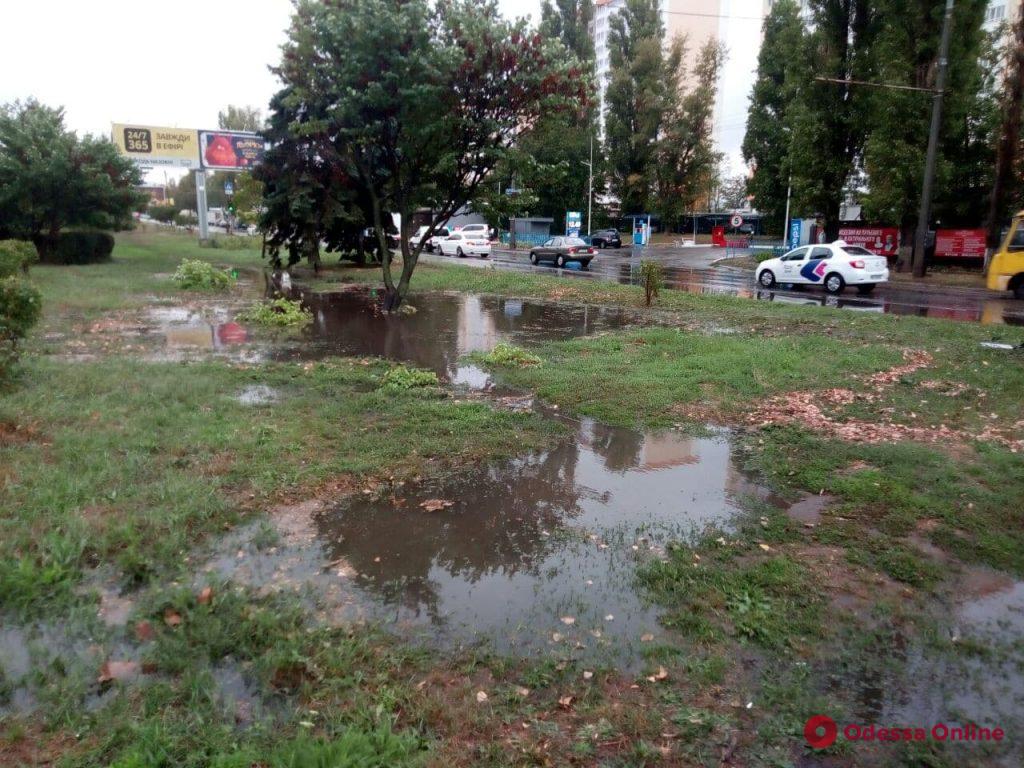 В Одессе из-за дождя затопило проспект Небесной сотни (фото, видео)
