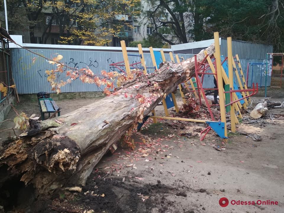 В Одессе на спортивную площадку упало дерево