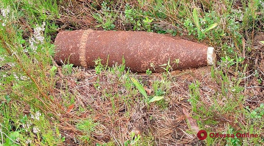 На Черемушках нашли артиллерийский снаряд