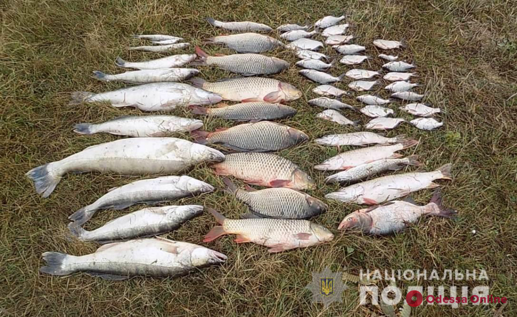 На озере в Одесской области задержали браконьеров