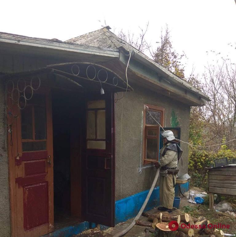 В Одесской области при пожаре погиб хозяин дома