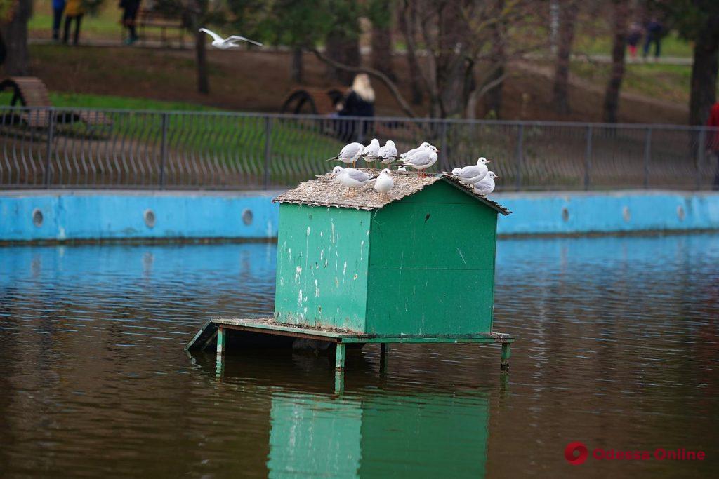 Атмосфера уходящей осени в Одессе (фоторепортаж)