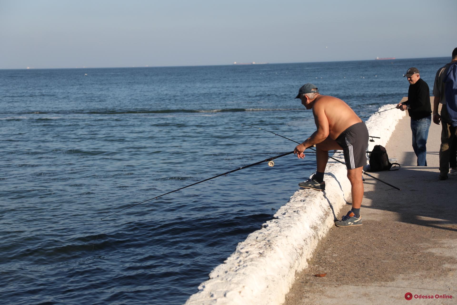 Последние теплые деньки уходящего года на одесских пляжах (фоторепортаж)