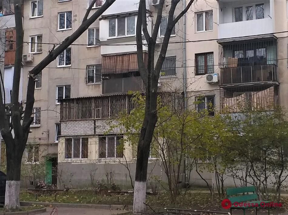 В Одессе сильный ветер повалил 8 деревьев