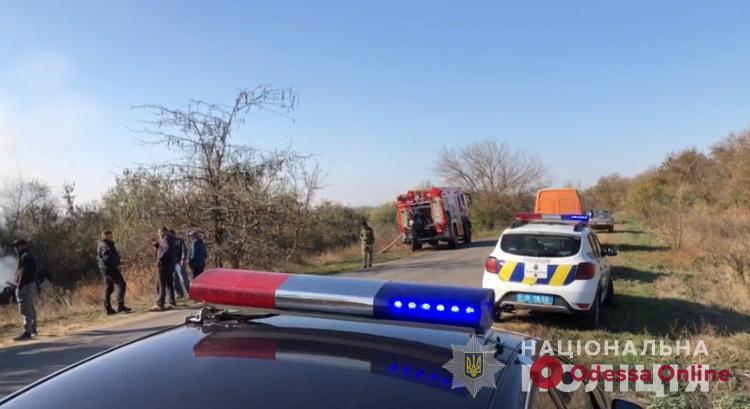 Под Одессой Renault врезался в дерево и загорелся — два человека погибли