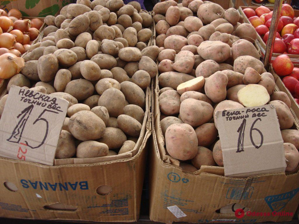 Фейхоа, клубника и ананас: воскресные цены на одесском «Привозе»