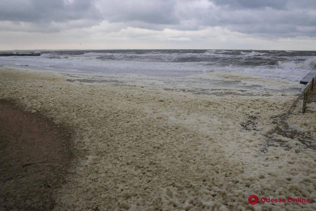 Одесское побережье накрыла морская пена (фото, видео)